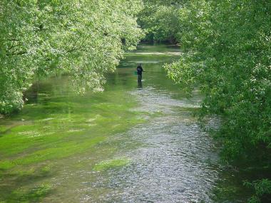 Visser in het riviertje de Mad bij Bayonville-sur-Mad