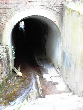Pad door tunnel onder voormalige spoorwegberm bij Stavelot