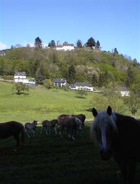 Paarden en Dasbourg (Duitsland) aan de andere oever van de Our