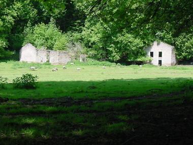 Ru�nes van watermolen en schapen nabij Saint-Jean