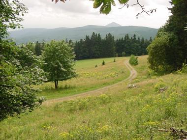 Uitzicht op Vogezen-landschap bij 'la Vieille M�tairie'