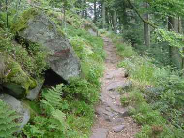 Smal pad tijdens de beklimming van de Ungersberg