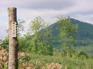 Wandelroutebordjes en zicht op ch�teau du Haut-Koeningsbourg