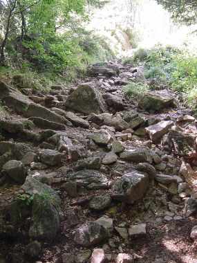 Steile, rotsachtige beklimming van de Ballon d'Alsace (1247 meter)