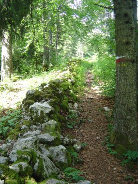 Wandelpad langs grenstenen tussen Sur la Roche en le Gardot