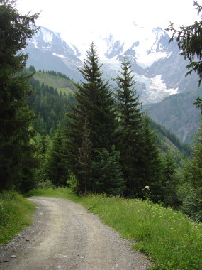 Bosweg met zicht op de Mont Blanc
