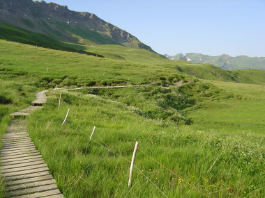 Plankenpad nabij la Petite Berge